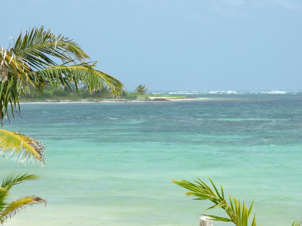 Отель Mayan Beach Garden Эль-Пласер Экстерьер фото